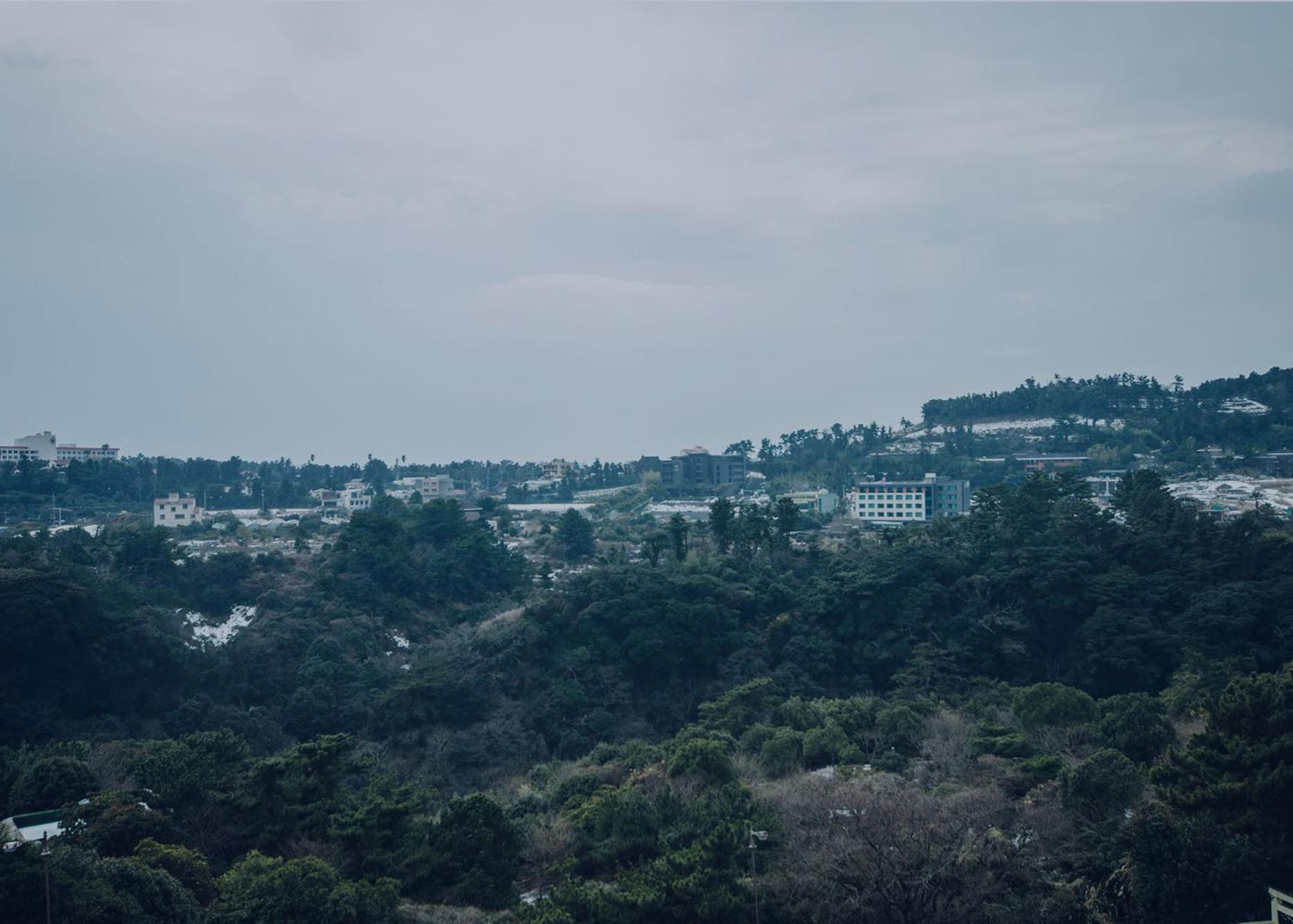 Jeju Lavender Hotel Seogwipo Ngoại thất bức ảnh